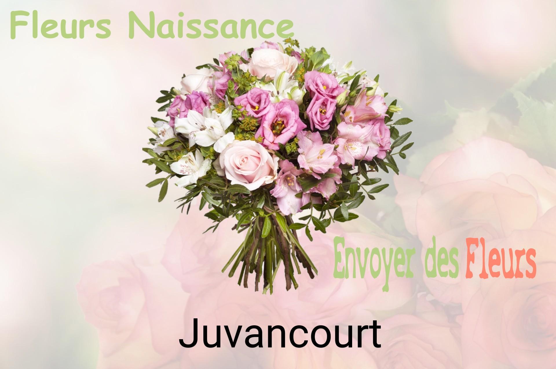 Bouquet de fleurs de naissance livré à Juvancourt